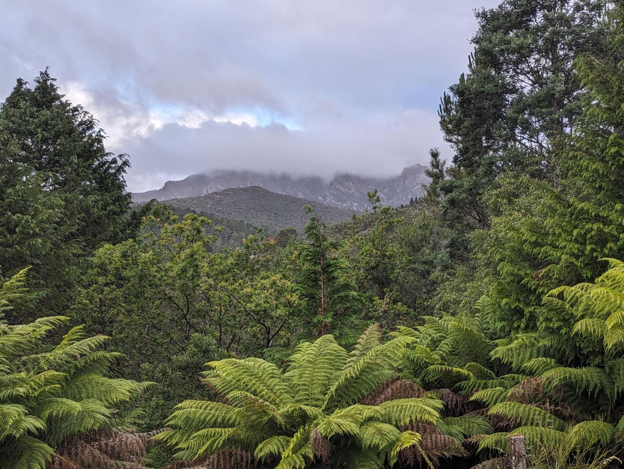 Lyell Comfortable And Warm Queenstown